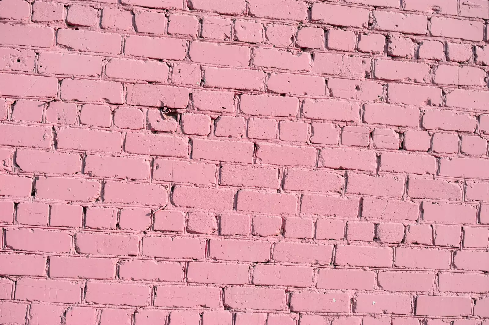 bricks that have been painted pink